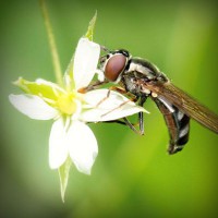 /album/vgskbs/photolia-a02-jpg/