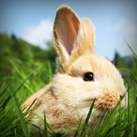 /album/vgskbs/photolia-a03-jpg/