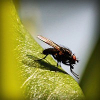 /album/vgskbs/photolia-a04-jpg/