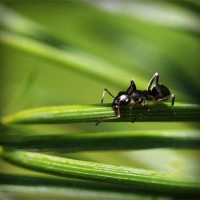 /album/vgskbs/photolia-a05-jpg/