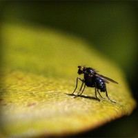 /album/vgskbs/photolia-a07-jpg/