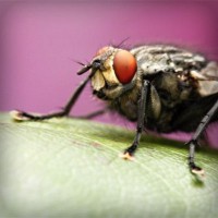 /album/vgskbs/photolia-a08-jpg/